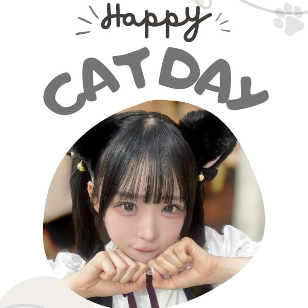 【横浜・大宮・秋葉原・池袋店】2月22日（日） ねこみみデー